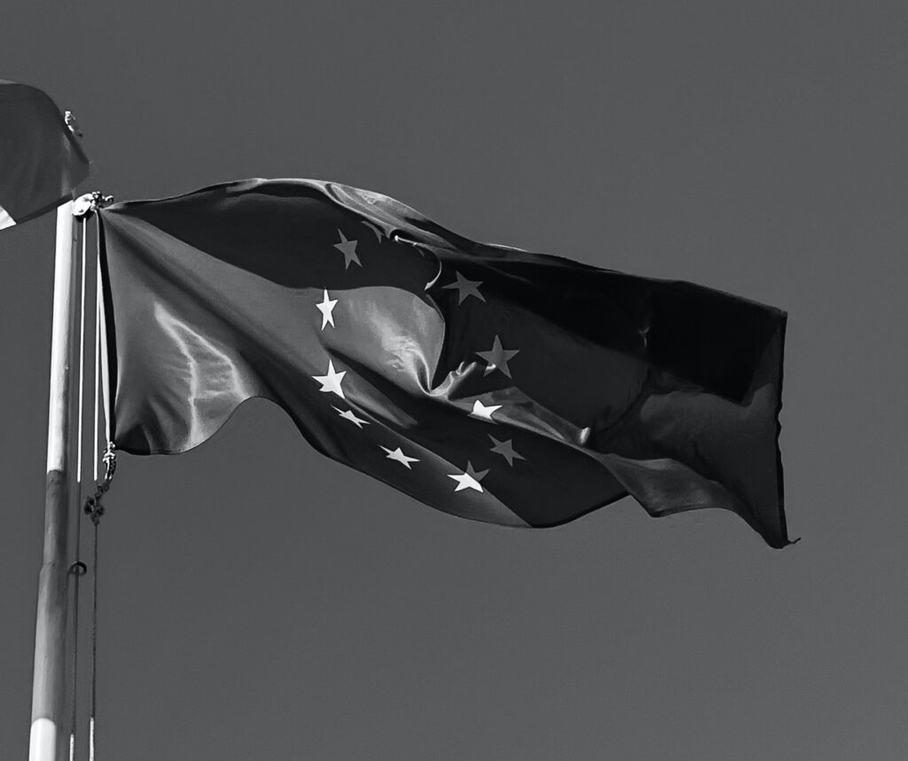 CELIS Update on Investment Screening and Economic Security - June 2025